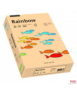 Papier xero kolorowy RAINBOW łosiosiowy R40 88042497