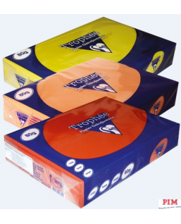 Papier xero A4 80g TROPHEE złoty-żółty XCA41780 CLAIREFONTAINE
