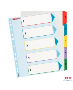 Przekładki kartonowe MYLAR A4 MAXI 1-5 ESSELTE 100207