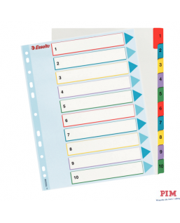 Przekładki kartonowe MYLAR A4 MAXI 1-10 ESSELTE 100208