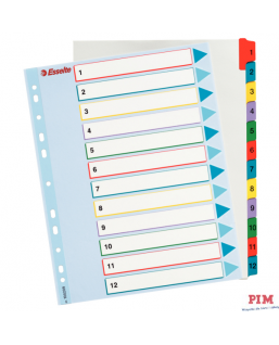 Przekładki kartonowe MYLAR A4 MAXI 1-12 ESSELTE 100209