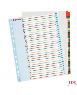 Przekładki kartonowe MYLAR A4 MAXI 1-31 ESSELTE 100210