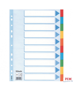 Przekładki karton A4 10 kart ESSELTE 100193 kolorowe z kartą opisową